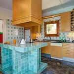 Rodea * 普拉亚布兰卡